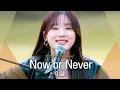 Download Lagu 꿈을 향해 달려가는 이들에게 전하는 이젤(EJel)의 따뜻한 위로 'Now or Never'♬ ｜비긴어게인 오픈마이크