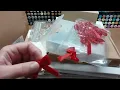 HSN Craft day haul including TS Let s open it