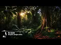 Booyaka Jungle remix