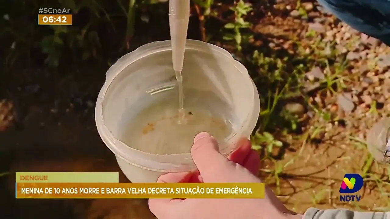 Barra Velha decreta situação de emergência em decorrência da situação da dengue na cidade