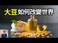 Download Lagu 中國每年要進口1億噸大豆，為什麼不自己多種點呢？大豆原產於中國，為什麼卻成了巴西和美國的「搖錢樹」？大豆的傳奇故事……【老肉雜談】#植物 #大豆 #科普 #生物 #食物