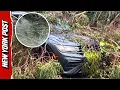 Tree Smashes Windshield Narrowly Misses Driver in Tropical Storm Lala Winds Oahu