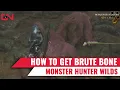 Monster Hunter Wilds Brute Bone Location
