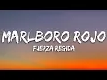 Lagu Fuerza Regida - Marlboro Rojo (Letra/Lyrics)