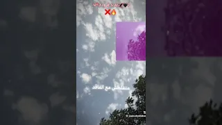 دا أنا في المهنة دي دكتور 