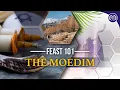 Download Lagu Feast 101: Did you know? | The Moedim
