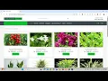 E-Nursery Store - Python Django Project Source Code