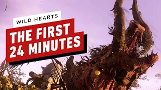 The First 24 Minutes of Wild Hearts