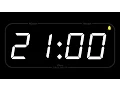 21 MINUTE - TIMER ALARM