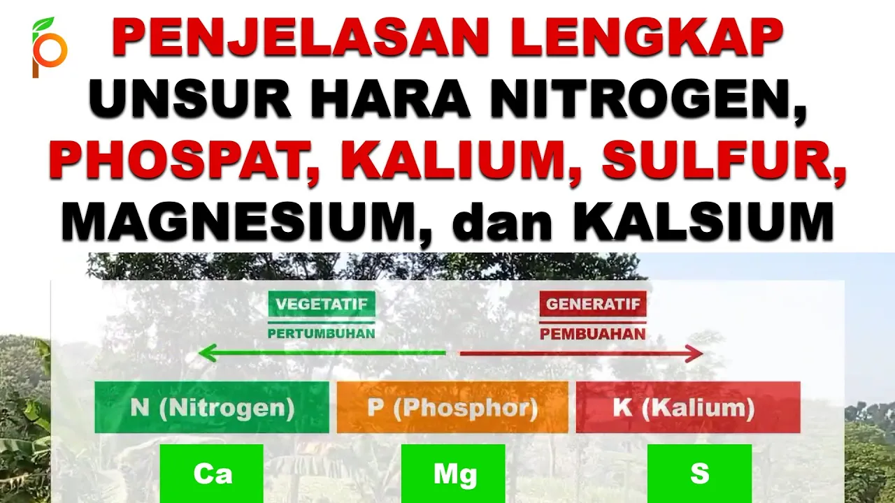 Unsur Hara Nitrogen, Unsur Hara Fosfat, Unsur Hara Kalium, Unsur Hara Sulfur, Magnesium, dan Kalsium