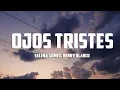 Download Lagu Selena Gomez, benny blanco - Ojos Tristes (with The Marías)