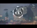 莊心妍 - 走著走著就散了『傷痕累累才懂，認真我就輸了...』【動態歌詞Lyrics】