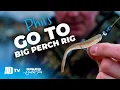 Target BIG PERCH - The Texas Rig In Detail