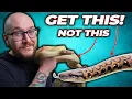 Bored of Ball Pythons Get One of These 5 Snakes Instead