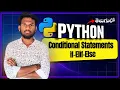 Conditional statements in Python Python full course