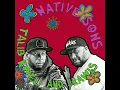 Talib Kweli & J. Rawls - Native Sons