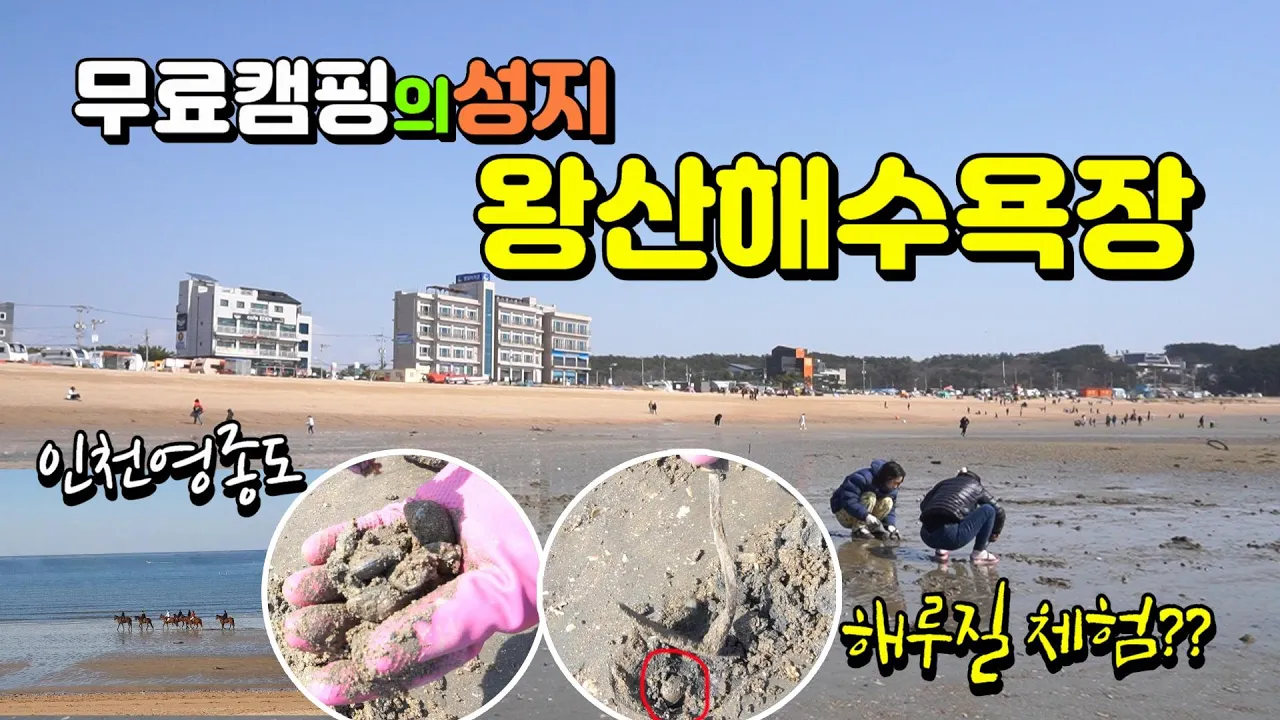 영종도바닷가 차박 무료캠핑장 왕산해수욕장은 과연 어떤곳?? Wangsan Beach, Yeongjongdo, Korea 썸네일