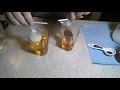 Diffusion Lab with Starch and Iodine 2020