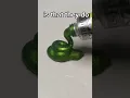 these metallic watercolours are INSANE