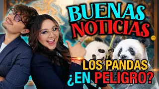 BUENAS NOTICIAS: ESPECIE CASI EXTINTA