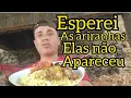 Download Lagu MORANDO DE BAIXO DA PONTE!!