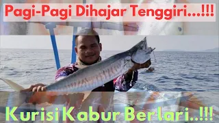 Download Cara Mancing Ikan Tenggiri Teknik Tonda//Nelayan Indonesia Menangkap Ikan MP3