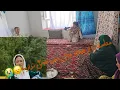 Download Lagu بلاخره مادر جان و پدر جان از کابل برگشت متاسفانه از عادله خواهر جان خبر های خوش ندارن 😥 آیا چشمانش.😭