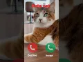 Download Lagu Calling #ringtone #nadaderingtelepon #smartphone #ringtones #music #bgm #cat #iphonerington #gatuno
