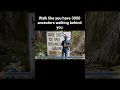 Download Lagu Walk like you have 3000 ancestors walking behind you