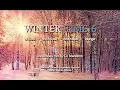 Download Lagu DJ Maretimo - Winter Time Vol.6 (Full Album) HD, 2 Hours, continuous mix, Winter Chillout Music