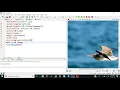 Latex tutorial - Images