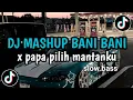 DJ MASHUP BANI BANI X PAPA PILIH MANTANKU - SLOW KANE | VIRAL TIKTOK 2024