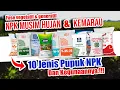 Lagu 10 JENIS PUPUK NPK DAN KEGUNAANNYA | NPK Musim Hujan \u0026 Kemarau