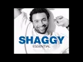 Download Lagu Shaggy feat. Rayvon - In The Summertime (BIGR Extended Mix)