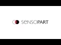 VISOR Vision sensor with calliper function Application example