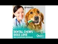 ORAVET Dental Chews Review Are They Worth the Price for Your Dog s Oral Health