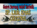 (GRATIS) SUARA WALET TERBAIK SP. LIUR EMAS ORIGINAL