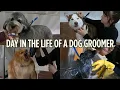 DAY IN THE LIFE OF A DOG GROOMER TIMESTAMPED