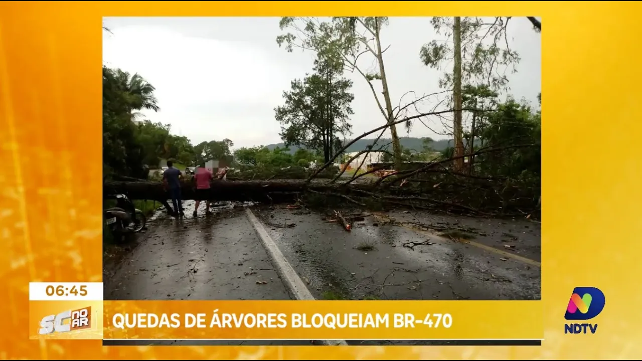 Temporal no Alto Vale causa queda de árvores e bloqueios na BR-470