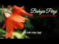 Download Lagu Lirick Lagu : BAHAGIA PERGI - Wizz Baker Ft. Echo Show