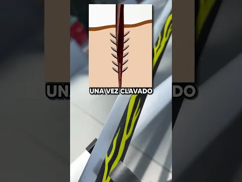Por qué las abejas mueren después de picarte (ay) #Abejas