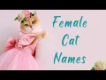 unique girl cat names
