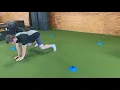 Multi-Directional Bear Crawl