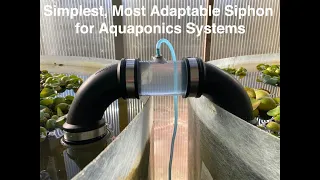 Simplest, Most Adaptable Siphon for Aquaponics Systems