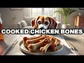Can Dogs Eat Cooked Chicken Bones Explained