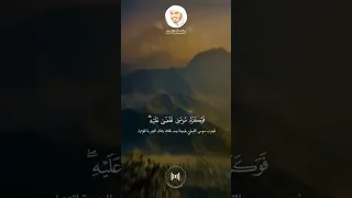   و د خ ل  ال م د ين ة  ع ل ى  ح ين  غ ف ل ة  م  ن  أ ه ل ه ا    القصص  آيه   ياسر الدوسري  قرآن دندنها