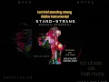 Download Lagu lord-inki _standing strang riddim instrumental