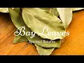 Bay Leaves Spiritual Benefits Benefits of Bay Leaves MindfulMastery site