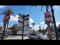 Downtown Mount Dora open for business despite flooding impacts