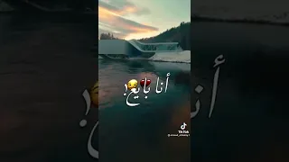 ضايع شاري وقالو انا بايع 
